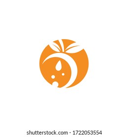 Orange logo design Vector icon illustration design