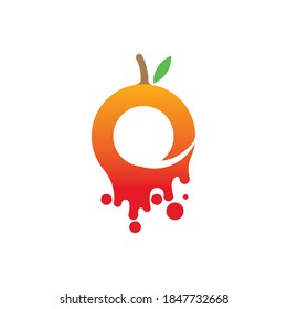 Orange logo design Vector icon illustration design

