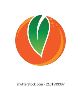 Orange logo design Vector icon illustration design