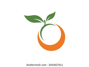 Orange logo design Vector illustration