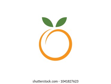 Orange logo design Vector illustration