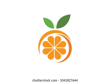 Orange logo design Vector illustration