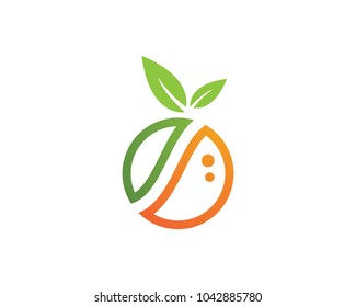 Orange logo design. Vector illustration