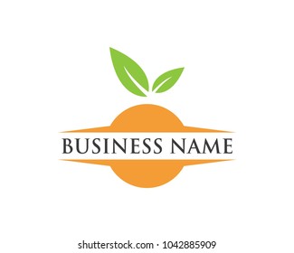 Orange logo design. Vector illustration