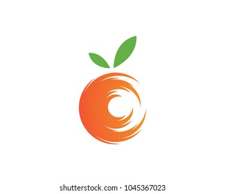 Orange logo design. Vector illustration
