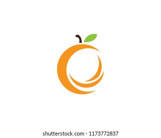 Orange logo design. Vector illustration