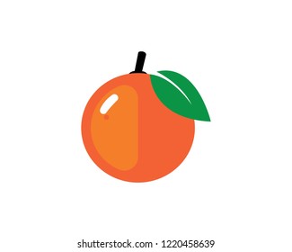 Orange logo design. Vector illustration