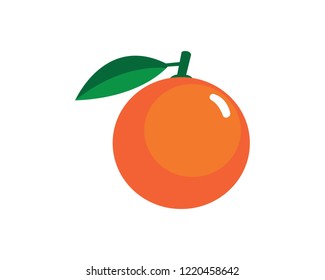Orange logo design. Vector illustration