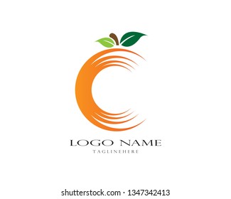 Orange logo design. Vector illustration - Vector