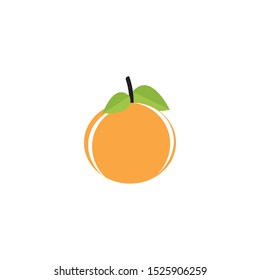 Orange logo design. Vector illustration