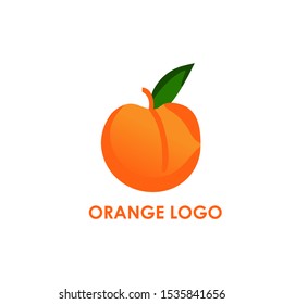 orange logo design vector new