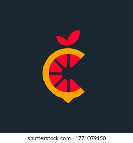 orange logo. fruits logo. citrus logo. modern