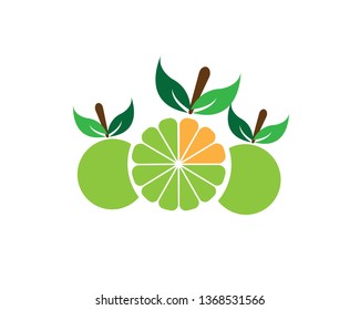 Orange logo template vector icon illustration design - Vector
