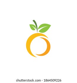 Orange logo Vector illustration template design