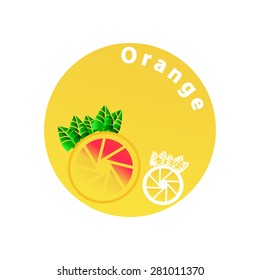 orange logo,Vector illustrations