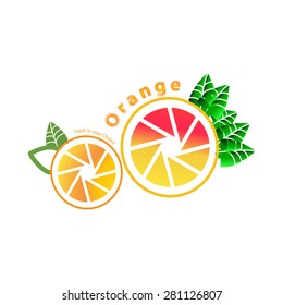 orange logo,Vector illustrations