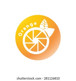 orange logo,Vector illustrations