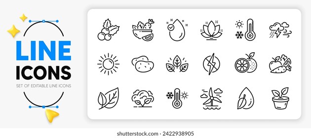 Orange, Lotus and Organic tested line icons set for app include Salad, Vitamin e, Thermometer outline thin icon. Weather thermometer, Sun, Vegetables pictogram icon. Antistatic. Vector