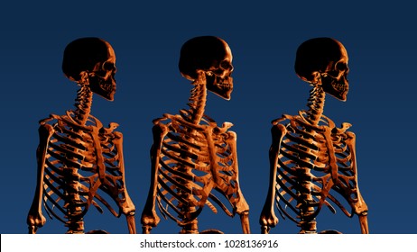 Orange low poly skeleton portrait side view on dark blue background