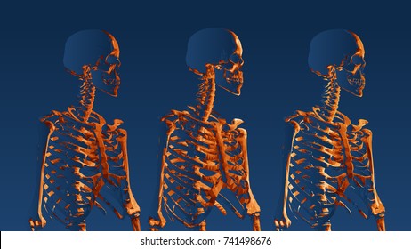 Orange low poly skeleton portrait side view on dark blue background