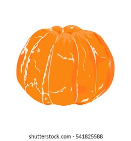 Orange mandarin completely peeled on a white background. Hand drawing citrus. Vector illustration organic food. Design orange element. Mandarin cartoon icon.