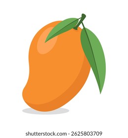 Orange mango fruit. Vector illustratOrange mango fruit. Vector illustration of fresh mangoion of fresh mango