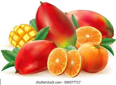 Orange and mango fruits with leaves and slices. Vector illustration