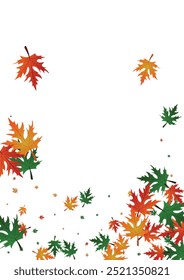 Orange Maple Background White Vector. Plant October Frame. Gold Bright. Seasonal Card. Ocher Floral Logo.