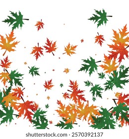 Orange Maple Background White Vector. Floral Canada Illustration. Gold Tree. Realistic Card. Green Leaves Wallpaper.