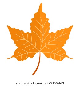 orange maple leaf isolated on transparent or white background