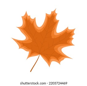 Orange maple leaf on a white background. Autumn decorative element. Flat vector illustration