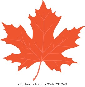 orange maple leaf without background