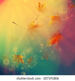 Orange maple leaves. Autumn concept. EPS10