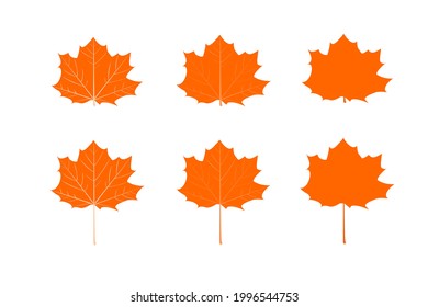 orange maple leaves icon different design on white background.maple leaf sign,flat style.concept for sign, symbol, icon ect