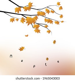 Orange maple leaves are starting to fall lonely. Vector drawing.