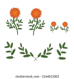 Orange marigolds vector illustration isolated on white background. symbol of mexican holiday Day of dead. 