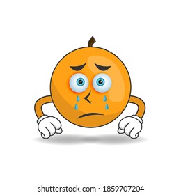 Orange mascot character with sad expression. vector illustration