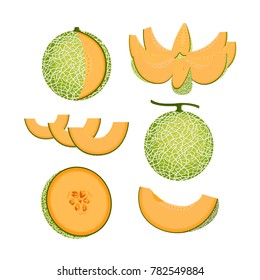 Orange Melon Fruit Isolated Vector and Icon