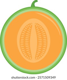 Orange melon slice with seeds