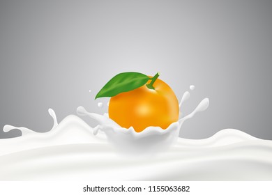 Orange with milk splashes vector illustration cocktail shake or yogurt