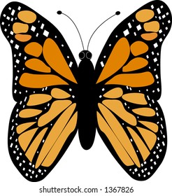 orange monarch butterfly detailed vector