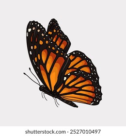 orange monarch butterfly hand drawn artwork illustration