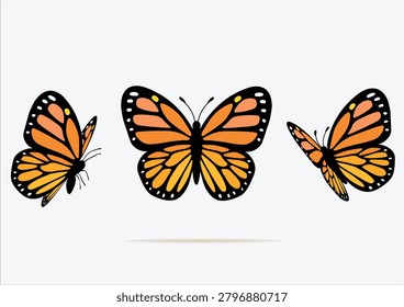 orange monarch butterfly vector design hand drawn