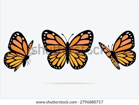 orange monarch butterfly vector design hand drawn