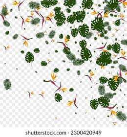 Orange Monstera Background Transparent Vector. Leaves Vacation Texture. Red Foliage. Hawaiian Backdrop. Light Green Print Card.