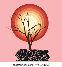 orange moon behind a bare tree