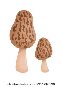 Orange mushrooms icon. Healthy food, balanced nutrition and vegetarian diet. Graphic element for website. Autumn forest symbol. Flora, botany, plant and wild life. Cartoon flat vector illustration