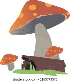 Orange mushrooms and old logs