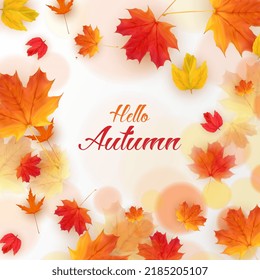 Orange Natura Hellol Autumn Card. Vector Illustration EPS10