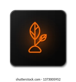 Orange neon sign on dark backgraund Planting seed sprout in ground. Symbol grow sapling.